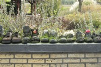 Vieilles chaussures de travail couvertes de mousse dans une rangée comme décoration sur le mur du jardin.