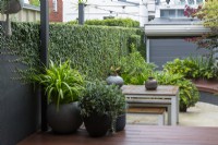 Deux pots sur une terrasse en bois composite donnant sur un jardin de la cour du centre-ville.