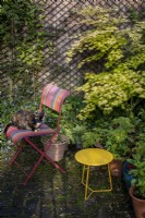 Chat assis sur une chaise de jardin rayée dans un petit jardin de ville, l'été