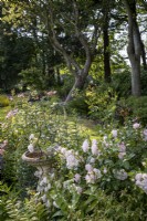 Roses poussant de manière informelle autour d'un bain d'oiseaux en pierre dans le jardin d'été
