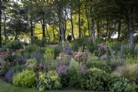 Des parterres de fleurs d'été vivaces profondes, avec des arbres d'ombrage derrière dans un jardin de style campagne de Cornouailles