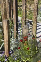 Poteaux de chêne récupérés utilisés pour former des bords et diviser le jardin.
