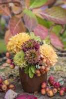 Petit bouquet d'automne de Rudbeckia 'Sahara ;, pommes sauvages et dahlias dans un petit vase en poterie marron sur une chaise en métal rouillé