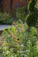 Penstemon barbatus 'Roseus' - The Sunburst Garden, RHS Hampton Court Palace Garden Festival 2022