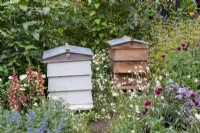 Ruches situées parmi des plantes respectueuses des abeilles telles que Cirsium, Aster, Gaura et Digitalis - RHS COP26 Garden, RHS Chelsea Flower Show 2021