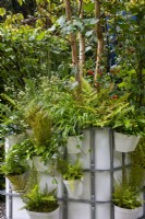 Pots IBC avec pots suspendus de fougères et d'herbes - The IBC Pocket Forest Garden, RHS Chelsea Flower Show 2021