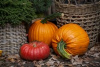 Sélection de citrouilles avec feuilles d'automne et paniers en osier