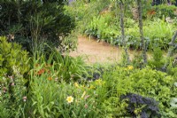 Plantation de plantes vivaces mixtes avec Helenium 'Moerheim Beauty', Salvia 'Hot Lips' parmi les arbustes dans The Daily Mail et RHS Planet-Friendly Garden, RHS Hampton Court Palace Garden Festival 2022