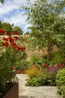 Plantes annuelles chaudes dans le 'Lunch Break Garden', RHS Hampton Court Palace Garden Festival, Londres, juillet 2022 - Best in Show Get Started Gardens - Concepteur : Inspired Earth Design