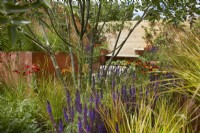 'Lunch Break Garden', RHS Hampton Court Palace Garden Festival, Londres, juillet 2022 - Best in Show Get Started Gardens - Concepteur : Inspired Earth Design