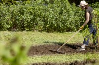 Préparation du potager, été Juin