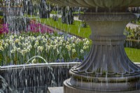 Fontaine à eau avec tulipes et jonquilles Regents Park Garden, Londres au printemps