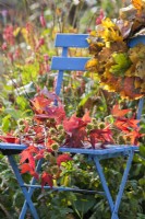Décoration automnale avec feuillage Liquidambar et couronne de feuilles sur chaise.