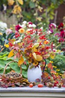 Bouquet de feuilles et de baies d'automne contenant de la rose de Guelder et du liquidambar