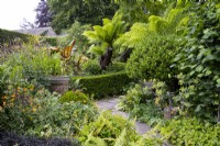 Des fougères arborescentes, des palmiers et un parterre de fleurs herbacées à York Gate.