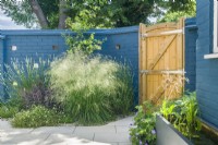Un jardin patio moderne en été avec des murs en briques peints en bleu. Les plantes ont été choisies pour encourager les insectes et comprennent l'erigeron, le thym, la lavande, les géraniums et le sedum. Un abreuvoir a été inclus comme pièce d'eau en juin.