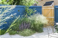 Un jardin patio moderne en été avec des murs en briques peints en bleu. Les plantes ont été choisies pour encourager les insectes et comprennent l'erigeron, le thym, la lavande, la scabieuse et le sedum. Juin.