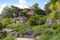 Plantation naturaliste autour de formations rocheuses spectaculaires dans Paxton's Rock Garden, Chatsworth House and Garden.