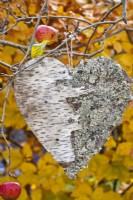 Coeur de bouleau et de lichens suspendu à un arbre.