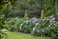 Hortensias au Burrows Gardens, Derbyshire, en août