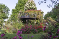 Une plate-forme d'observation centrale dans les jardins de Peter Beales Roses vêtue de roses grimpantes.