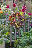 Couronne faite de fleurs d'hortensia, de lanternes chinoises et de lierre de Boston suspendu à une clôture.