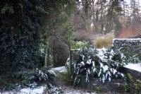 Jardin enneigé en décembre.