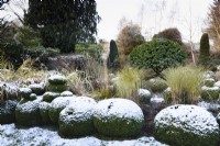 Box Garden avec un laurier portugais central coupé, Prunus lusitanica, avec une pincée de neige en décembre.