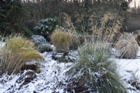 Banc entouré de graminées ornementales dans un jardin enneigé en décembre.