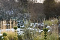 Les tiges blanchies des graminées ornementales captent la lumière du soleil dans un jardin de buis taillés en décembre.