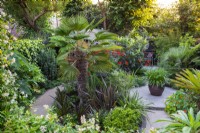 Un parterre central est planté de palmier Trachycarpus wagnerianus, de buis, de phormiums, d'eucomis, d'un néflier du Japon et de crocosmia. A droite sur un patio circulaire se dresse un pot d'agapanthes.