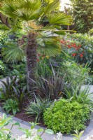 Un parterre central est planté de palmier Trachycarpus wagnerianus, buis, phormiums, eucomis et crocosmia.
