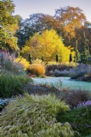 Le jardin d'hiver, les jardins de Bressingham, novembre.