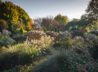 Vue sur les parterres mixtes de graminées et de vivaces aux jardins de Bressingham en novembre.