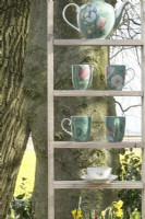 Décoration avec bouilloires et tasses à thé avec vue sur le champ de jonquilles.
