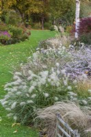 Parterre de graminées ornementales et d'asters au jardin de John Massey en octobre.