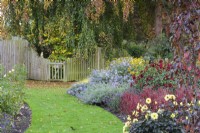 Plantation colorée comprenant des graminées ornementales et des plantes vivaces herbacées tardives dans le jardin d'Adam au jardin de John Massey en octobre.