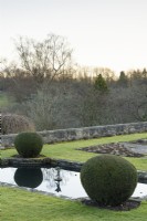 Sphères d'if coupées encadrant l'étang de nénuphars formel sur la terrasse Jewson à Cotswold Farm Gardens en février