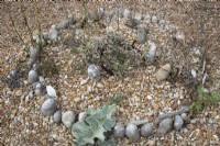Jardin réalisé sur une plage de galets, par Derek Jarman, Dungeness