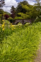 Vue sur le pont principal sur les douves du 12ème siècle. Les plantes comprennent le feuillage et les bourgeons d'Hemerocallis (hémérocalles) au premier plan, et le drapeau jaune Iris pseudocarus.