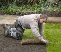 Un ouvrier posant un nouveau gazon lors de la rénovation d'un jardin londonien.