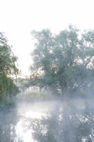 Brume matinale sur la rivière Nar.