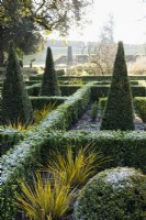 Le jardin est du Bishop's Palace Garden à Wells un matin de janvier, avec des haies à feuilles persistantes d'Euonymus japonicus 'Green Spire', d'ifs taillés et de Libertia peregrinans.