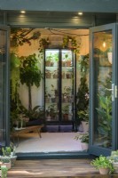 Studio de plantes d'intérieur avec plantes grasses et cactus dans The Aroid AtticStudio : médias sociaux contre réalité - Commanditaire : Malvern Garden Buildings