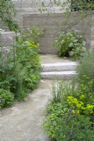 Le chemin incurvé avec des marches en pierre purbeck le long du mur enduit d'argile comprend Cenolophium denudatum Euphorbia wallichii et Zizia aurea dans The Mind Garden