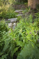 Prairie de zones humides naturelles avec des plantes indigènes avec Filipendula ulmaria dans un jardin paysager Rewilding Britain