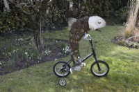 Pike on a Trike, une sculpture faite d'un vélo recyclé et de pièces assorties. réalisé par Darren Greenhow. Hiver.