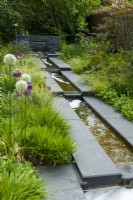 Ruisseau menant de la fonction cascade avec des plantes herbacées des deux côtés - Journée des jardins ouverts, East Bergholt, Suffolk