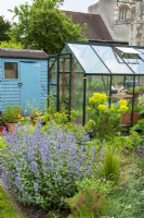 Vue sur les allotissements avec un assortiment de plantes vivaces, y compris Nepetia - Cat Mint - et Euphorbia - Spurge - avec cabanon bleu et serre - Journée des jardins ouverts, East Bergholt, Suffolk