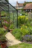 Vue sur les allotissements avec un assortiment de plantes vivaces et chemin en serre - Journée jardins ouverts, East Bergholt, Suffolk